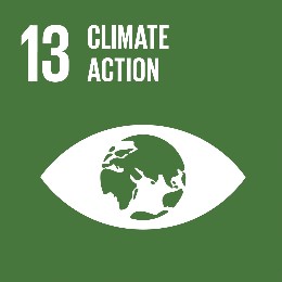 SDG13 climate action